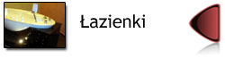 kamien_w_lazience